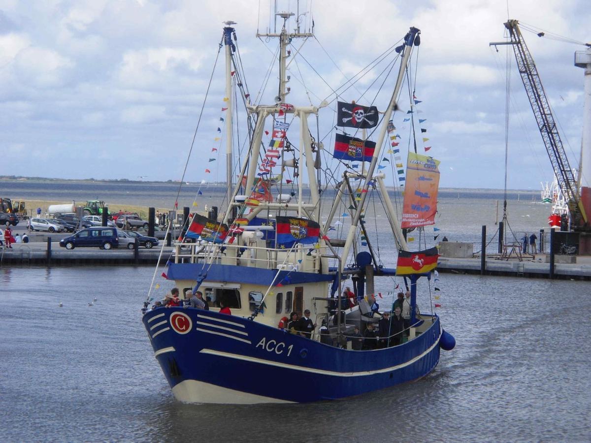 Lachmoewe Dornumersiel